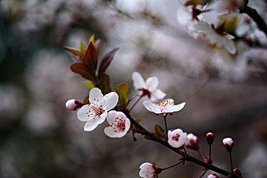 人族崛起！《虚妄轮回》DLC“高塔与海”现已正式发售